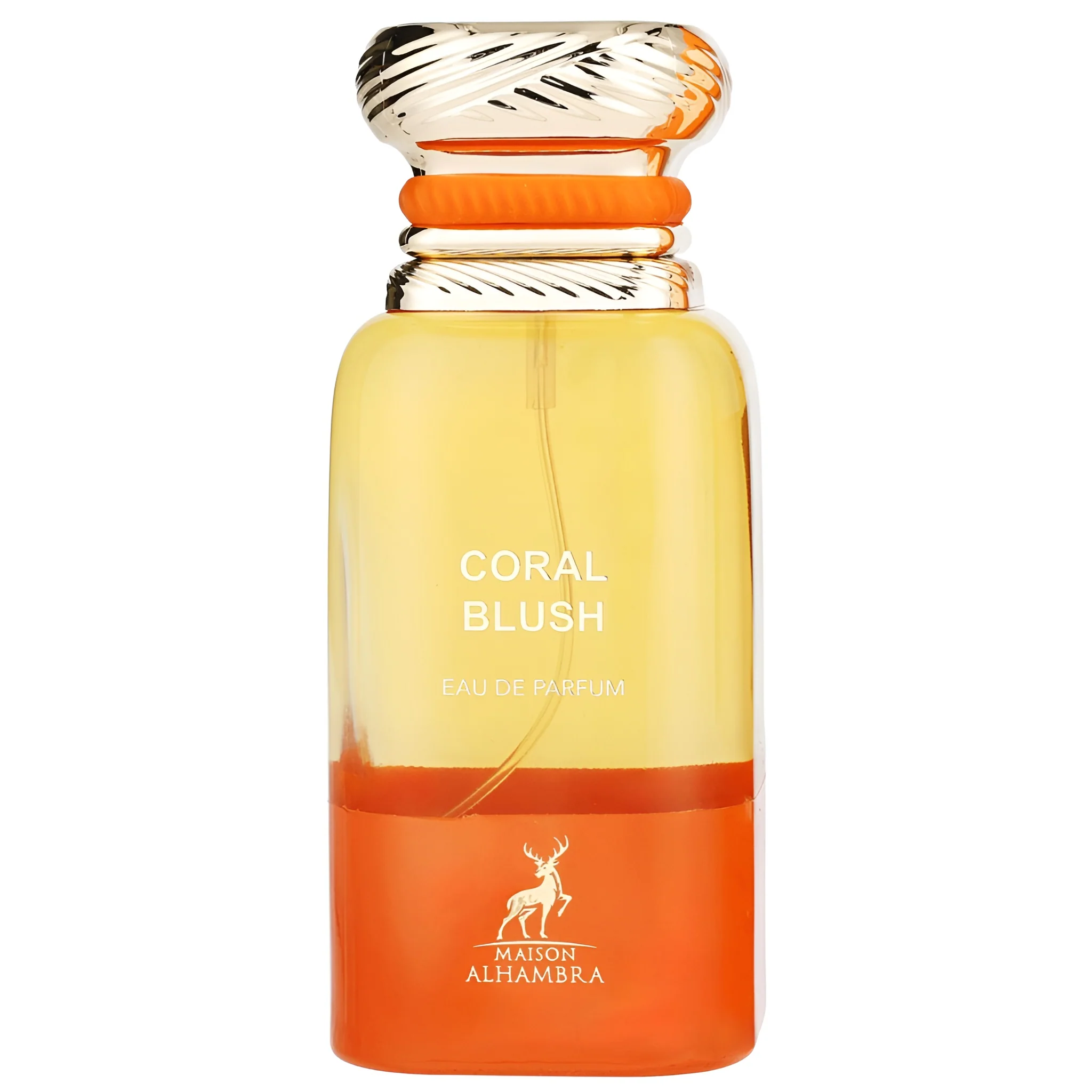 Unisex Fragrance